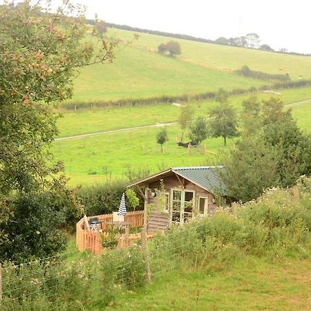 Woolcombe Cabin East Allington Esterno foto