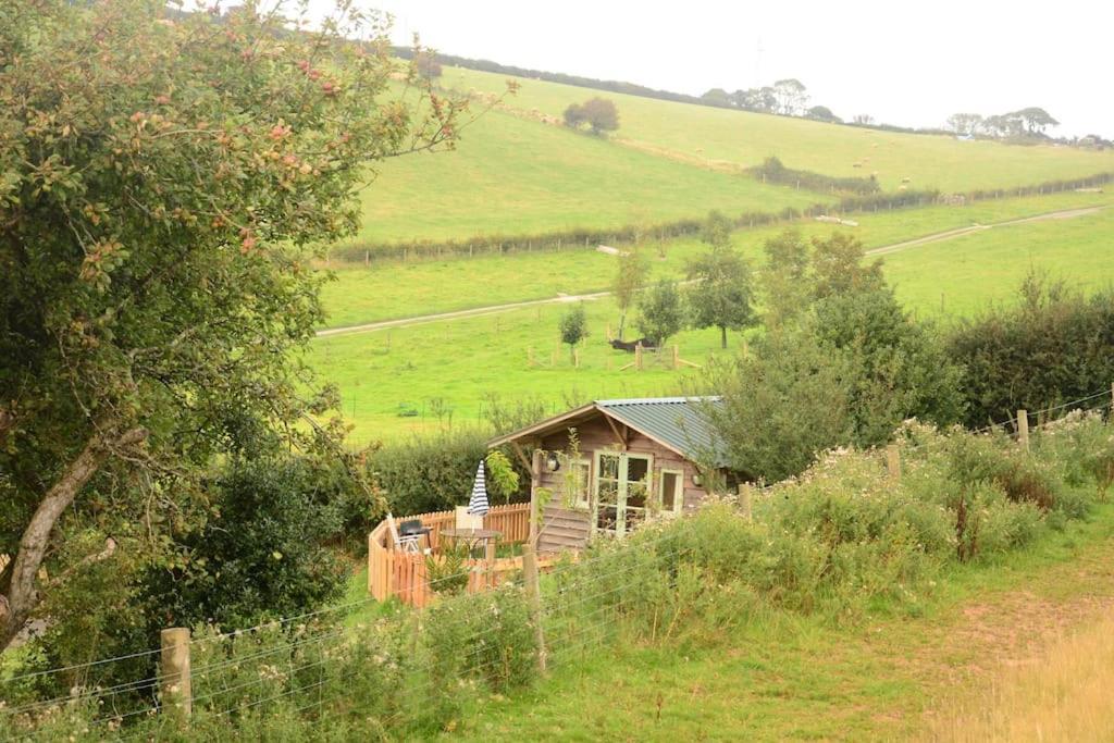 Woolcombe Cabin East Allington Esterno foto