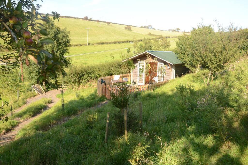 Woolcombe Cabin East Allington Esterno foto